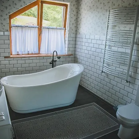 Gospodarstwo wiejskie Dacha Użhorod